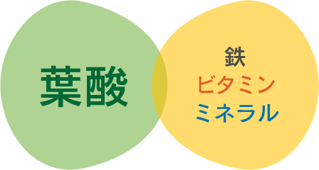 葉酸、鉄、ビタミン、ミネラル